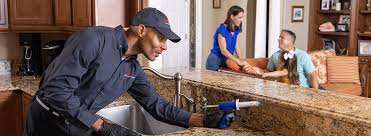 Best Emergency Pest Control  in Matheny, CA